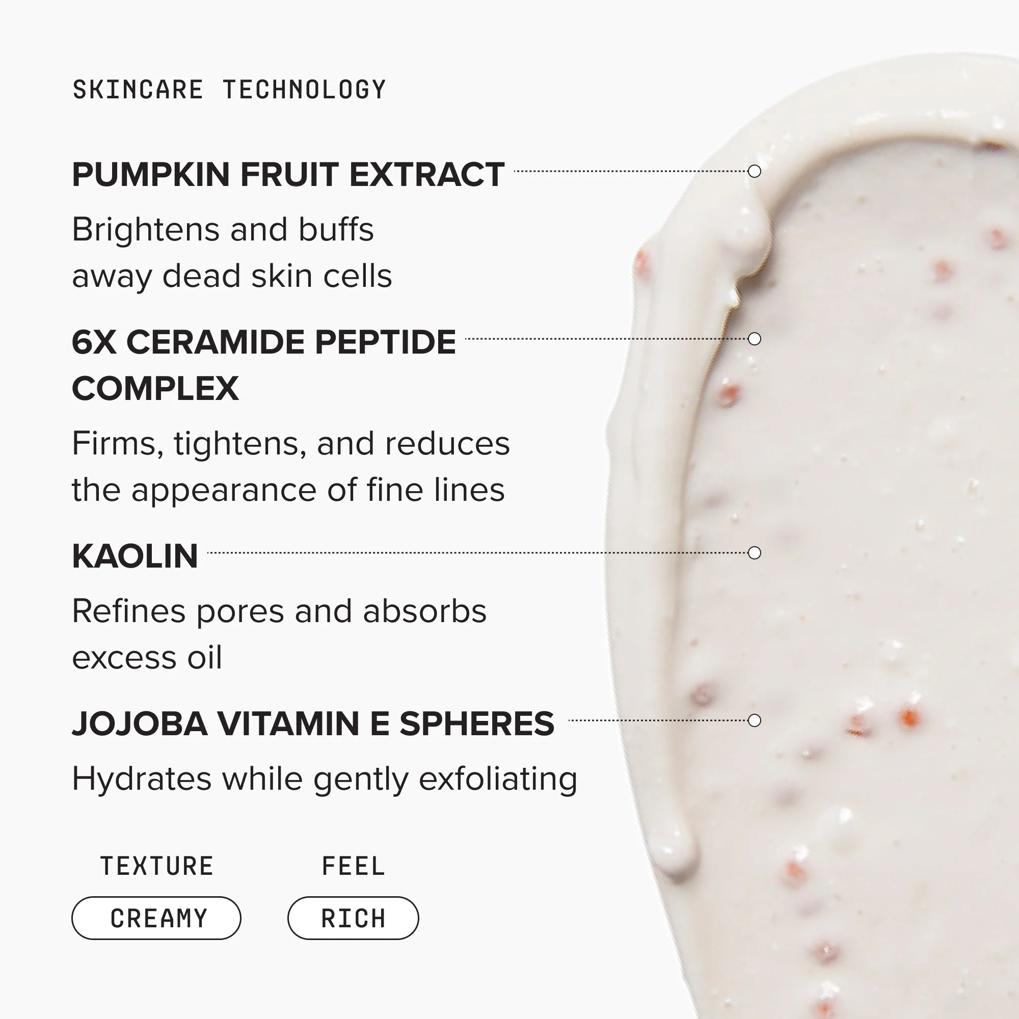 Pumpkin Enzyme Mask - Image 13